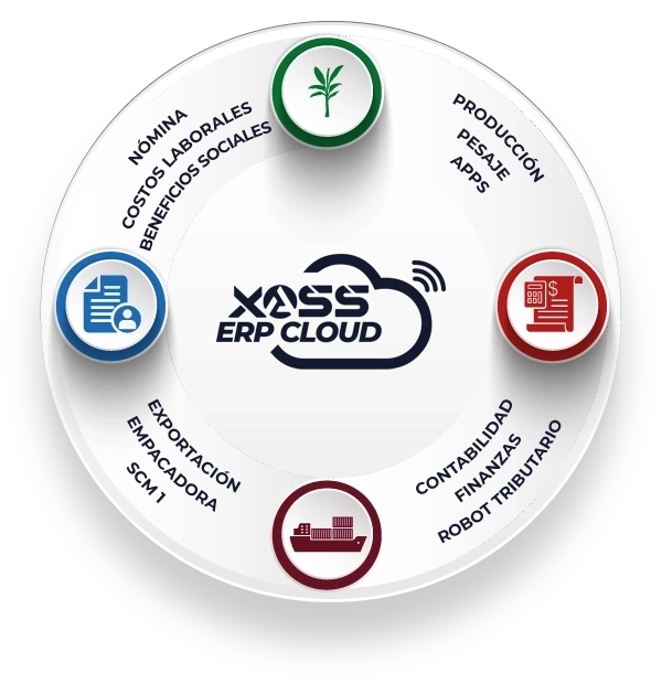 Ecosistema ERP BANANO